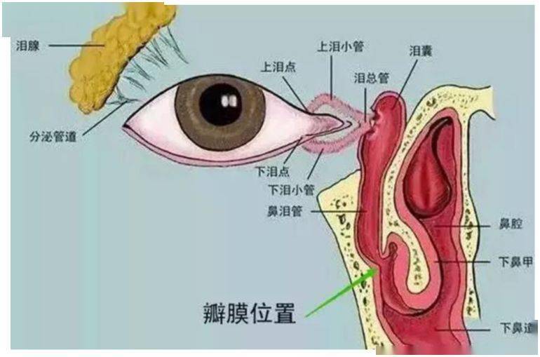 第1301页